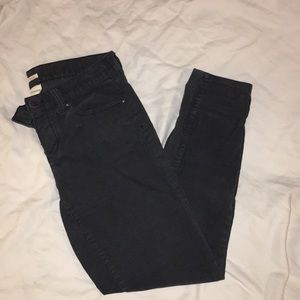 J Crew Factory Toothpick Cords